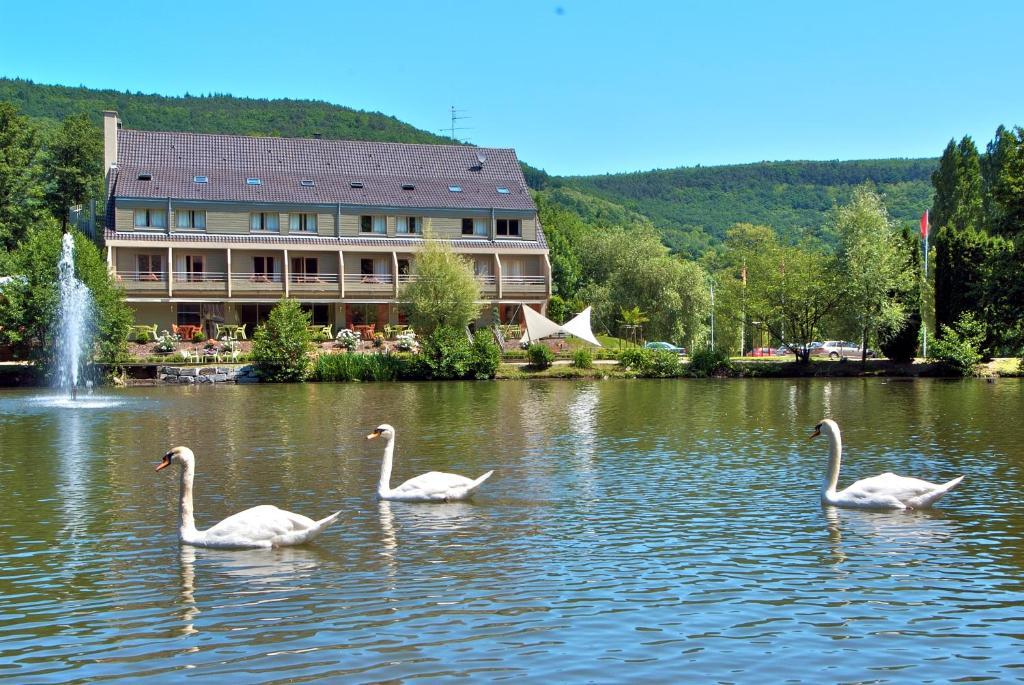 Hotel Du Lac Guebwiller Exterior photo